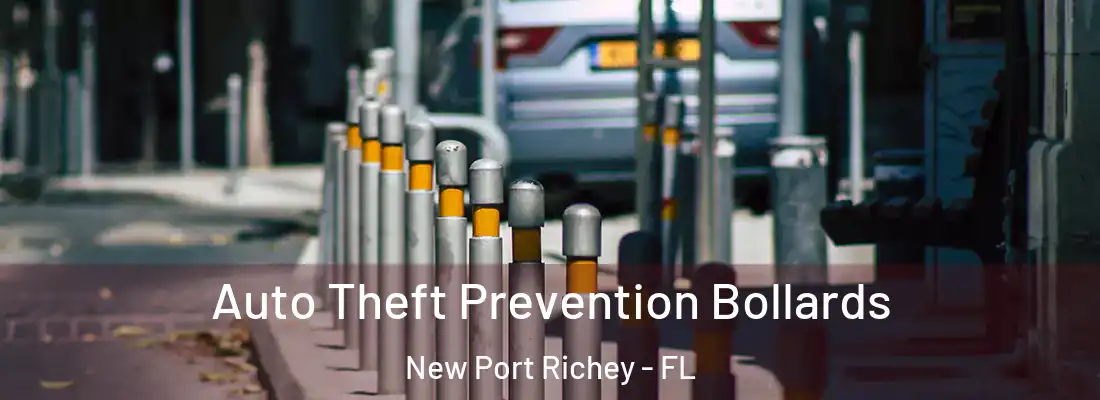  Auto Theft Prevention Bollards New Port Richey - FL