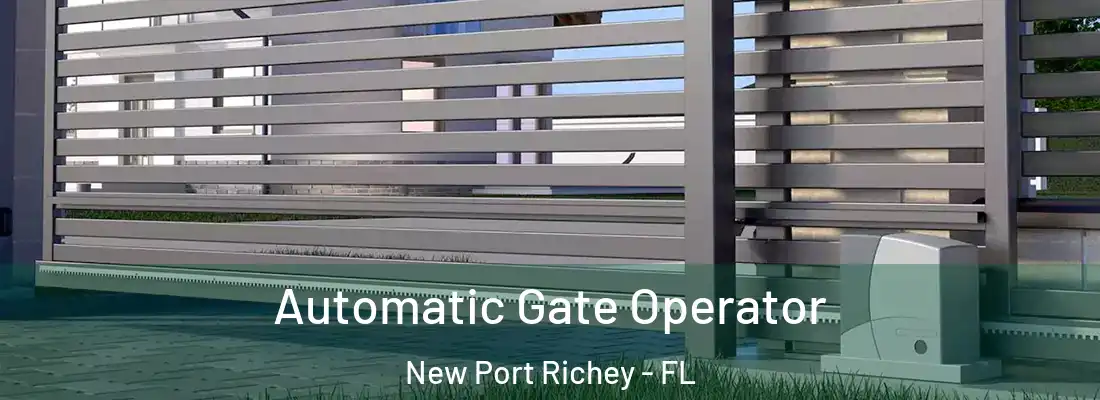  Automatic Gate Operator New Port Richey - FL
