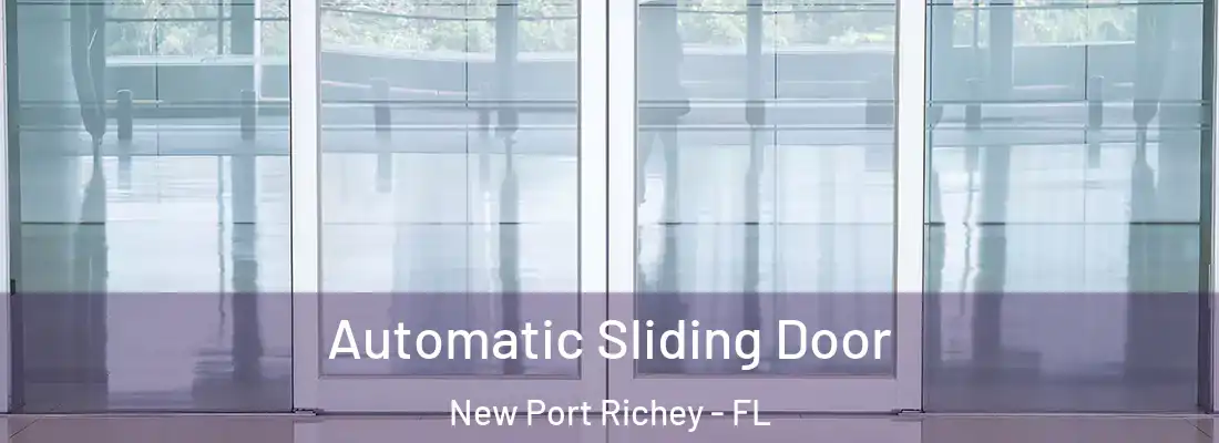  Automatic Sliding Door New Port Richey - FL