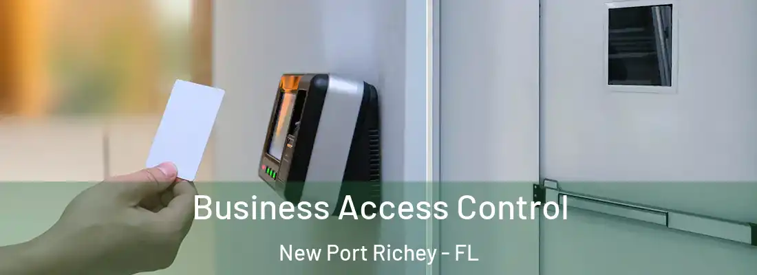  Business Access Control New Port Richey - FL