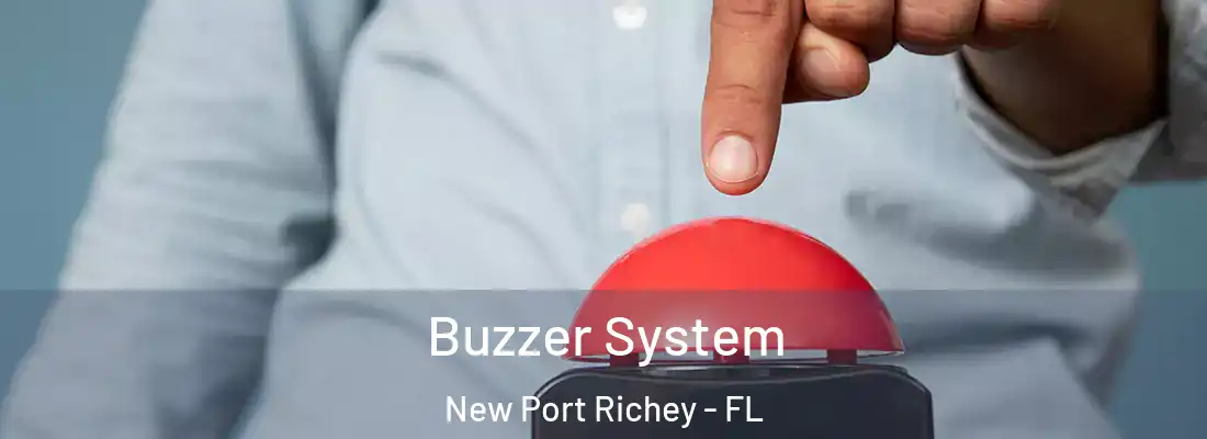  Buzzer System New Port Richey - FL