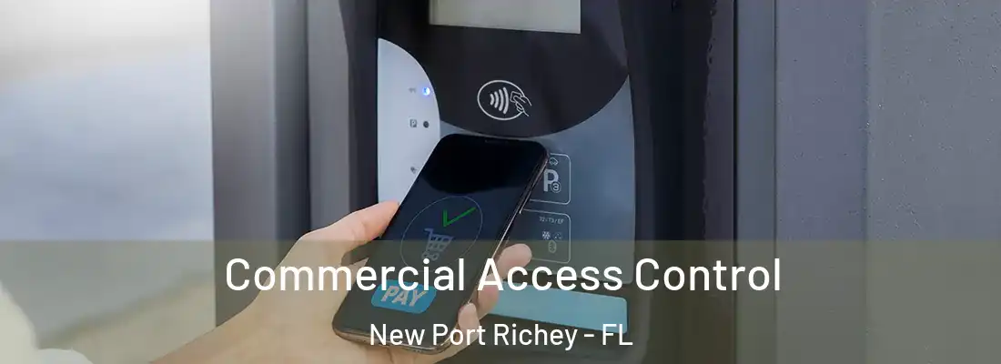  Commercial Access Control New Port Richey - FL