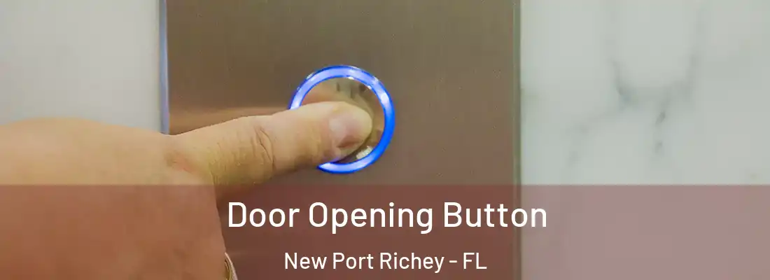  Door Opening Button New Port Richey - FL