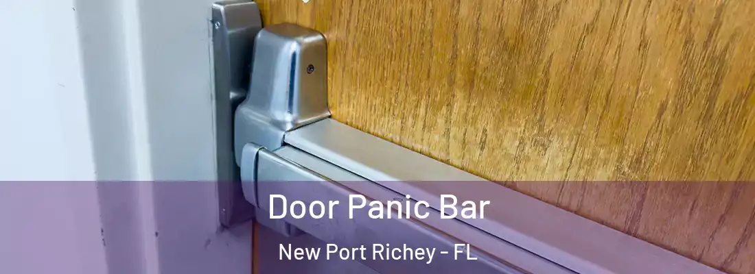  Door Panic Bar New Port Richey - FL