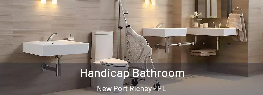  Handicap Bathroom New Port Richey - FL
