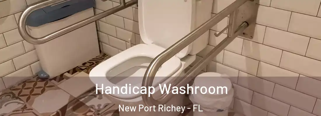  Handicap Washroom New Port Richey - FL