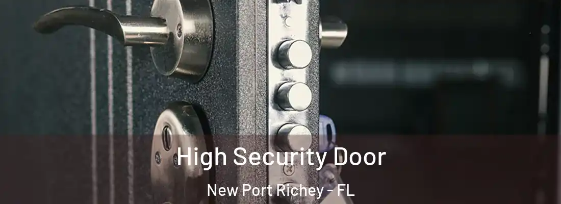  High Security Door New Port Richey - FL
