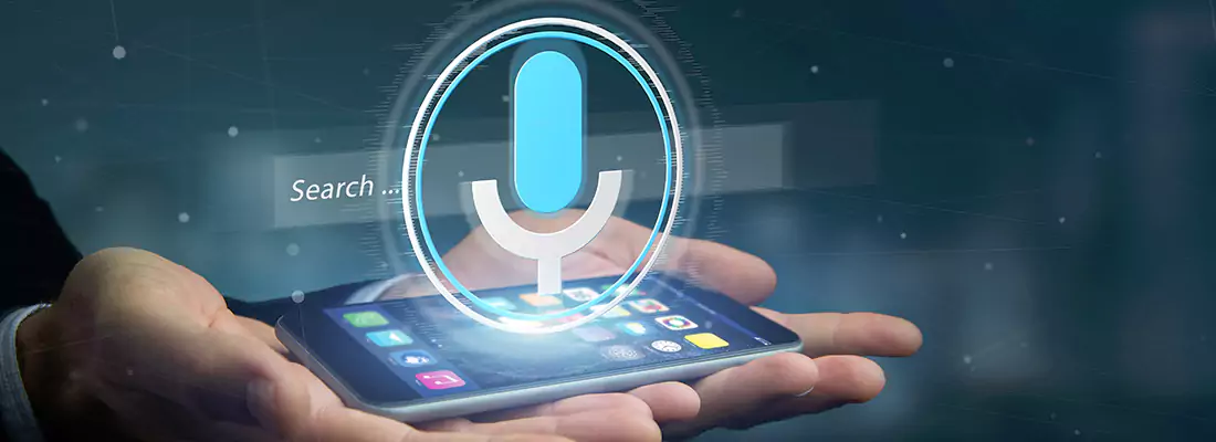Enhance Security with Voice Recognition Access Systems in New Port Richey, FL