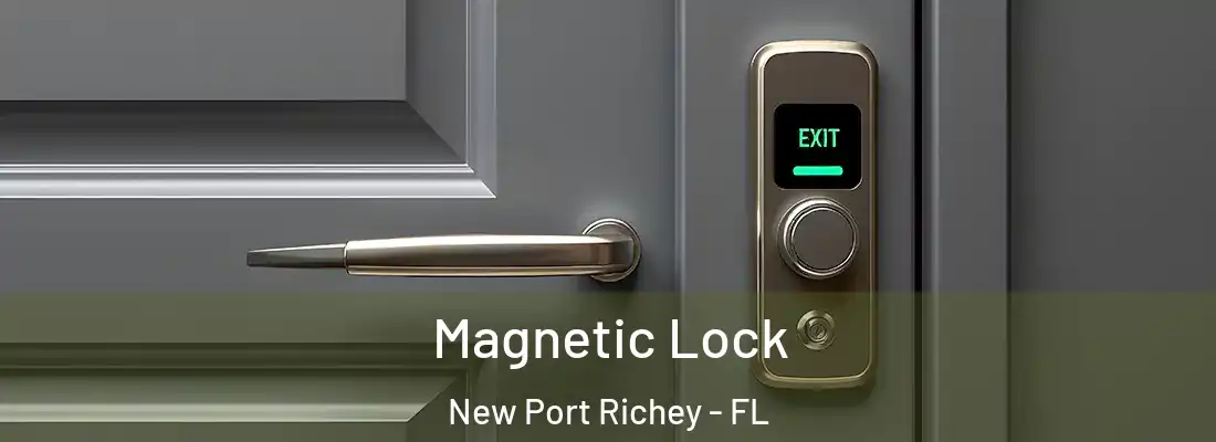  Magnetic Lock New Port Richey - FL