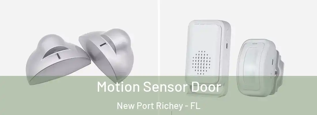  Motion Sensor Door New Port Richey - FL