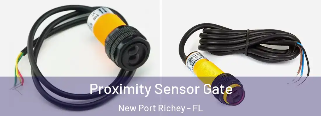  Proximity Sensor Gate New Port Richey - FL