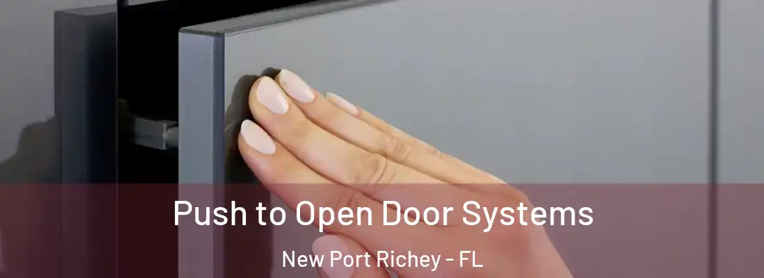  Push to Open Door Systems New Port Richey - FL